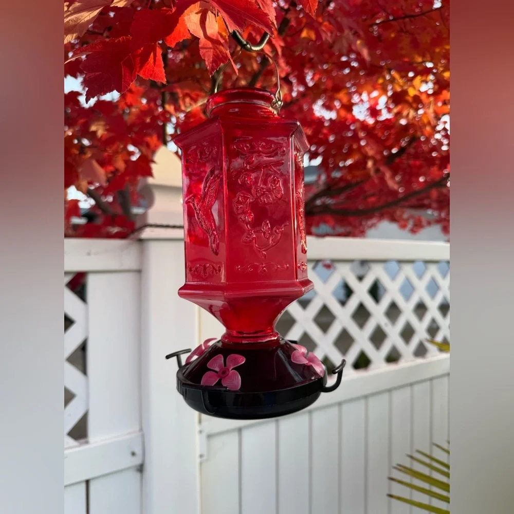 Red Glass Hummingbird Feeder